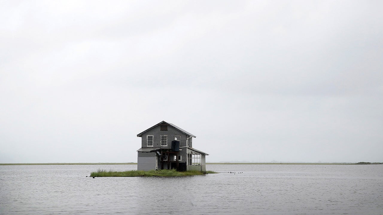 Tropical Storm Barry Tops Levees, Topples Trees (PHOTOS)