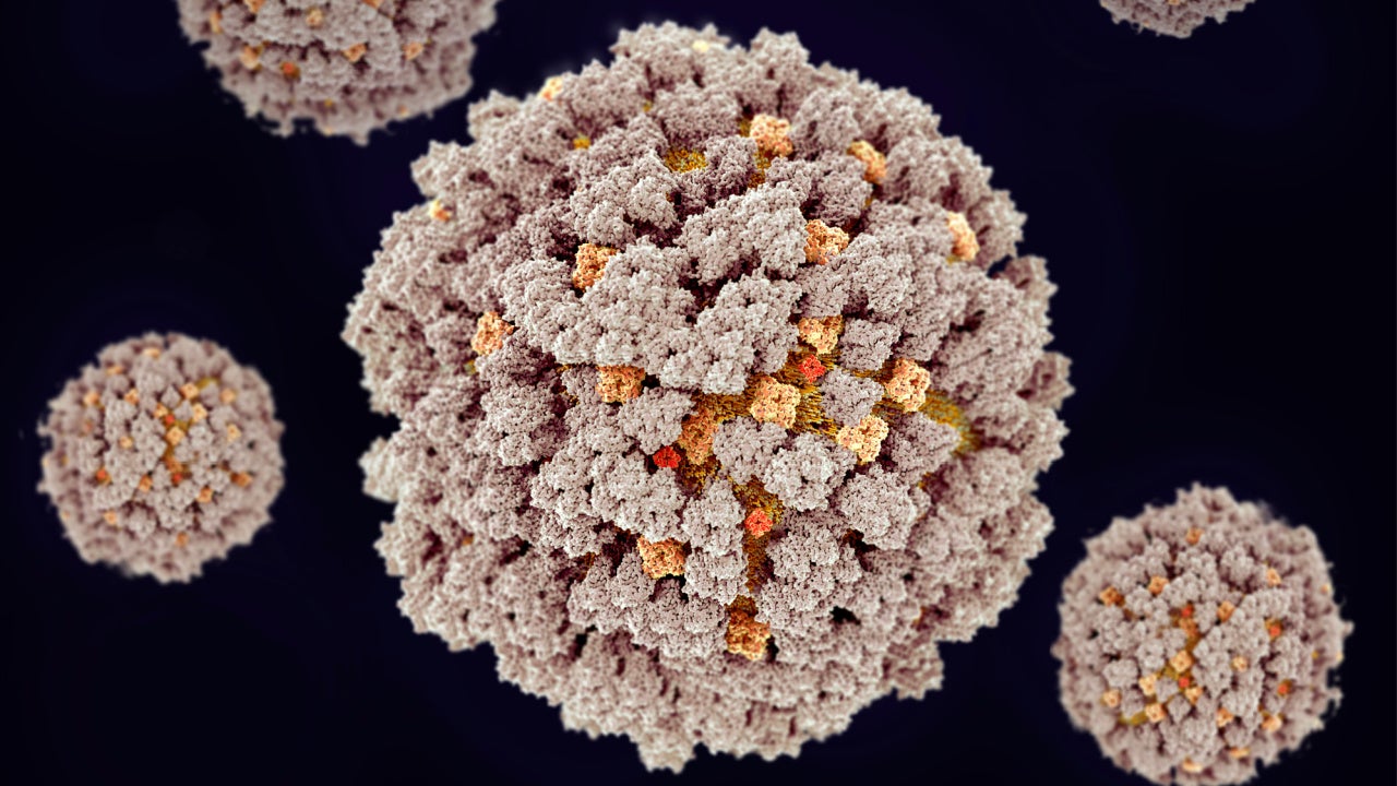 It's Not Too Late to Get Your Flu Shot