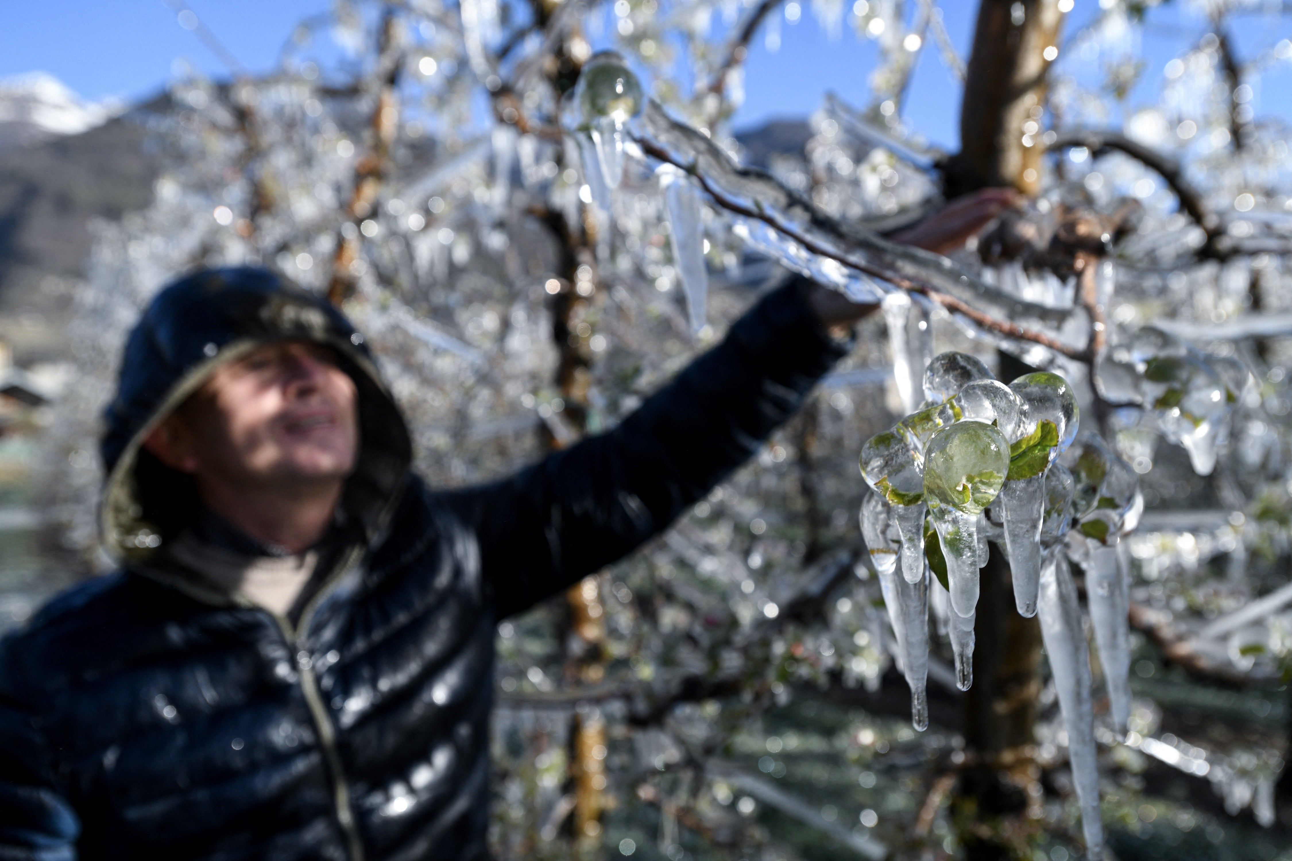 gettyimages-1232176935.jpg