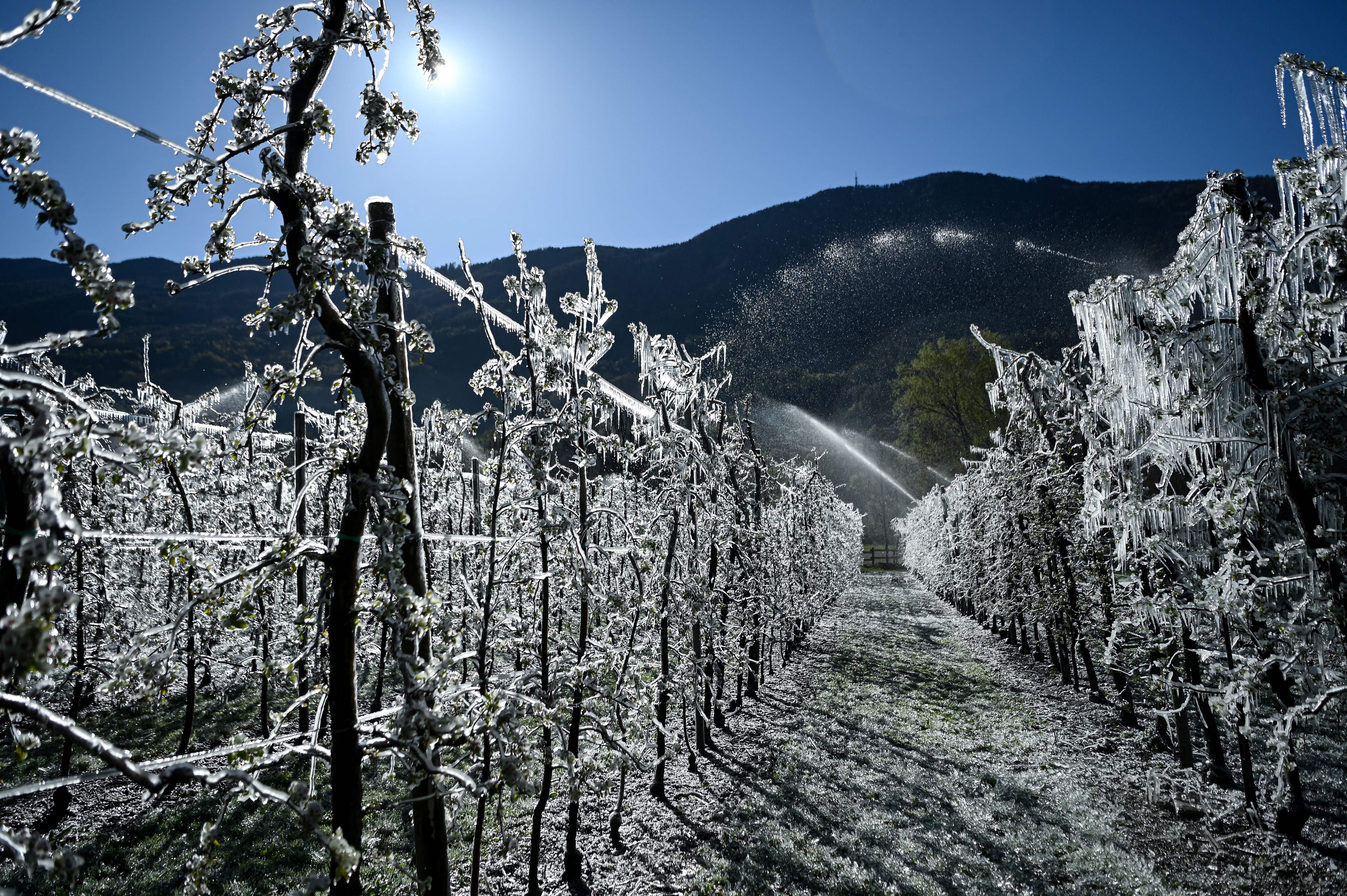 How Europe is Dealing with the April Cold Blast (PHOTOS)