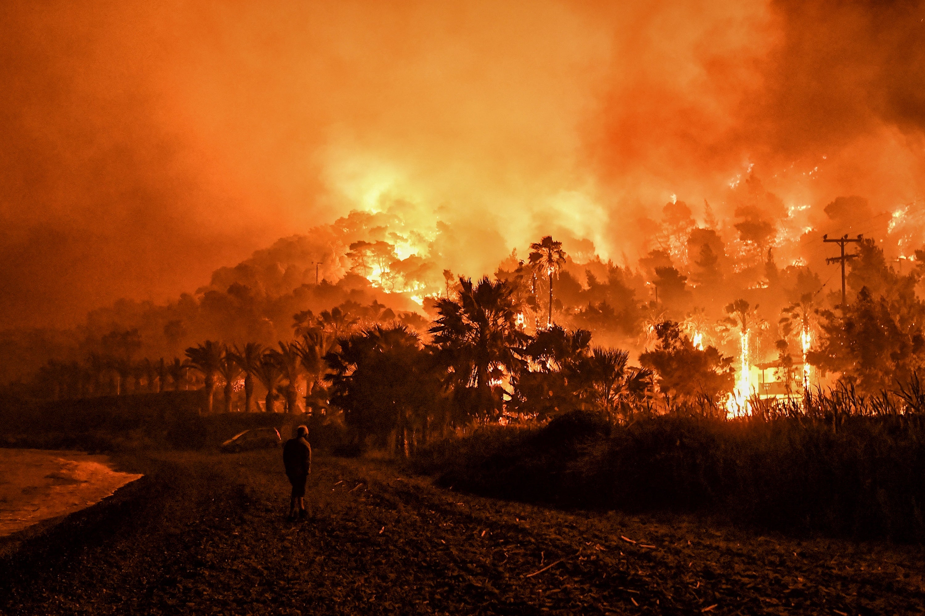 Wildfire Rages Outside of Athens, Greece (PHOTOS)