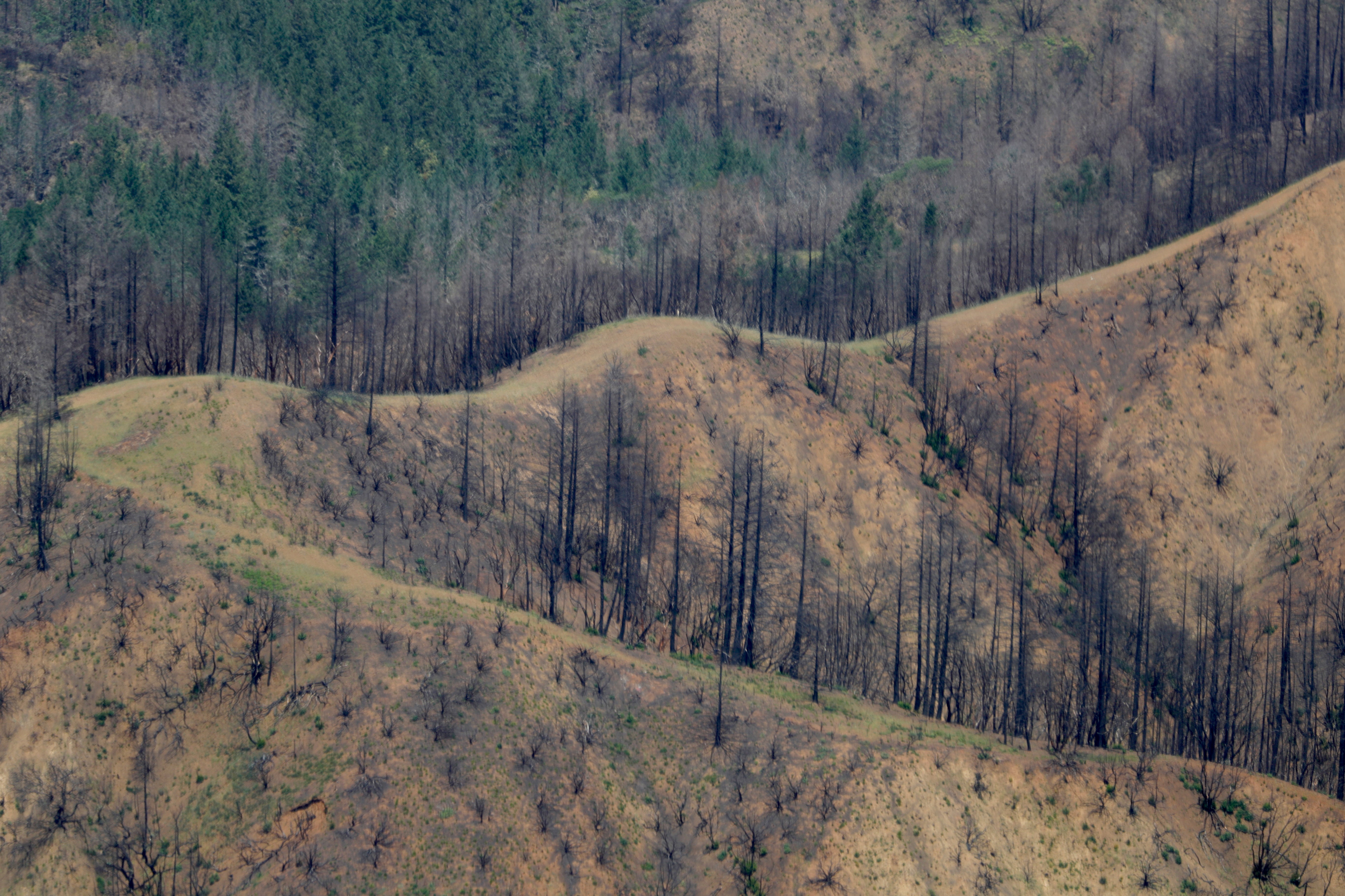 An Aerial Tour of Sonoma County's Burn Scars (PHOTOS)