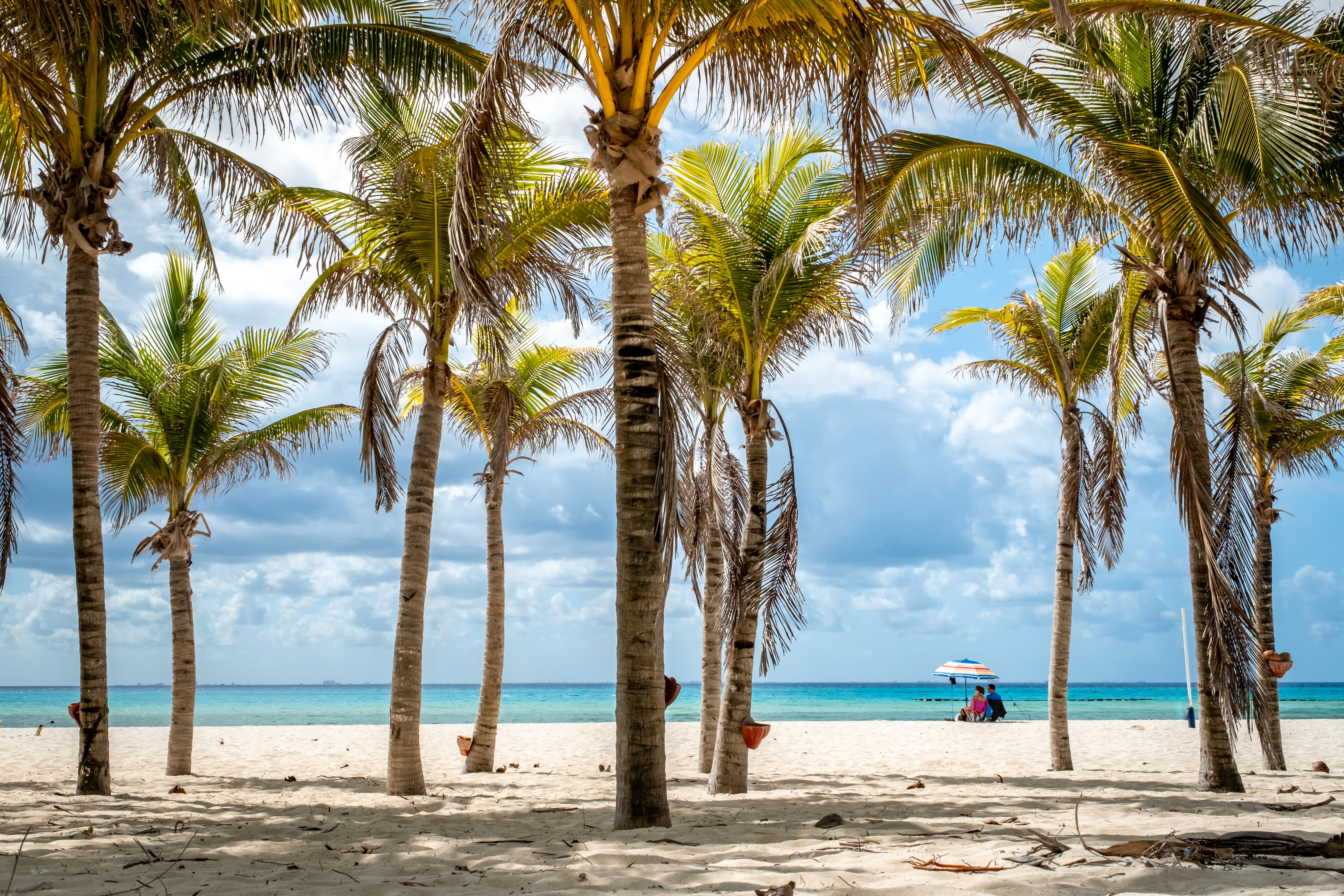 These Are This Winter&rsquo;s Top Travel Destinations, According To TripAdvisor