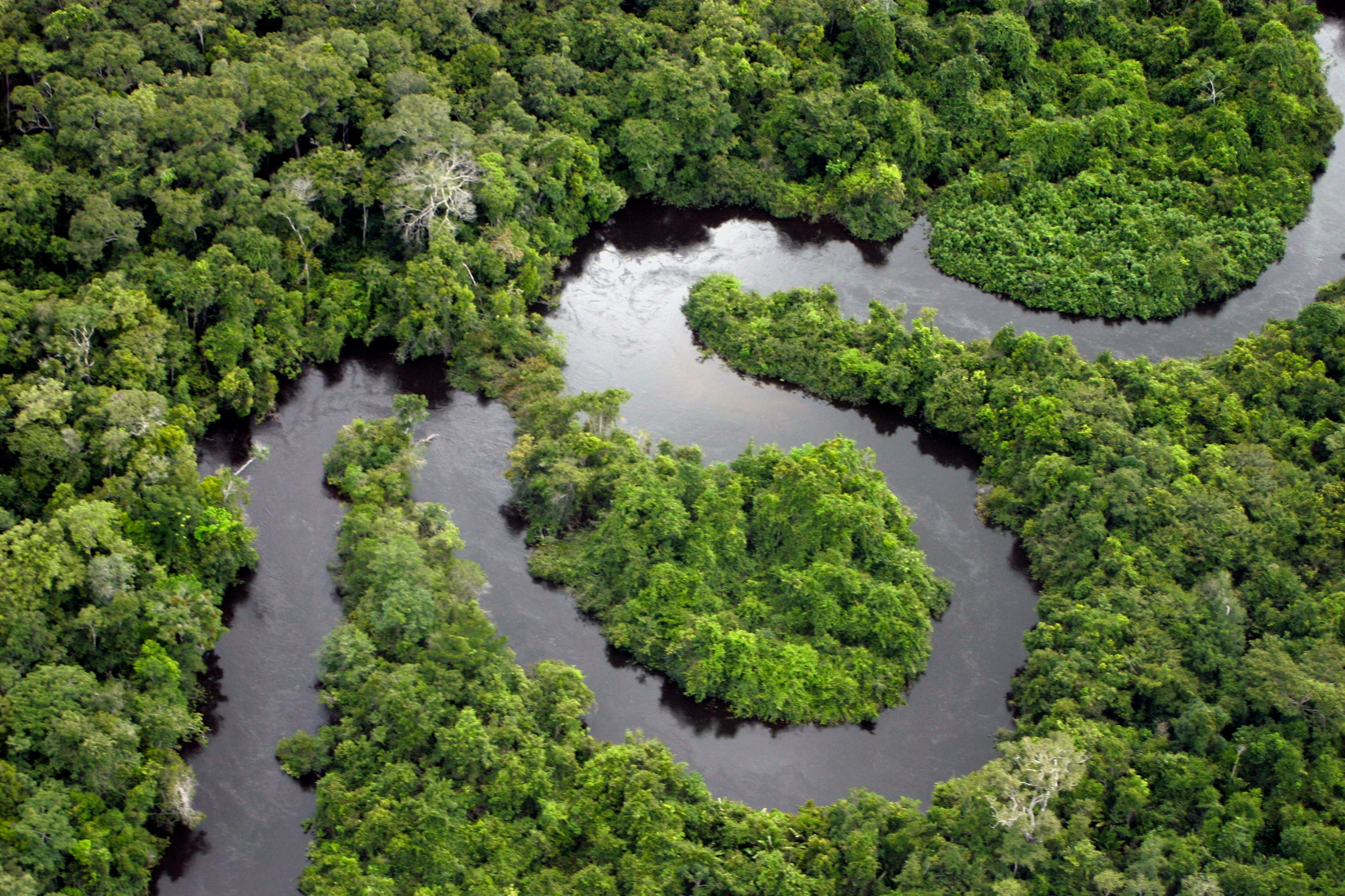 1. The Amazon Rainforest, Brazil, Peru and Colombia 