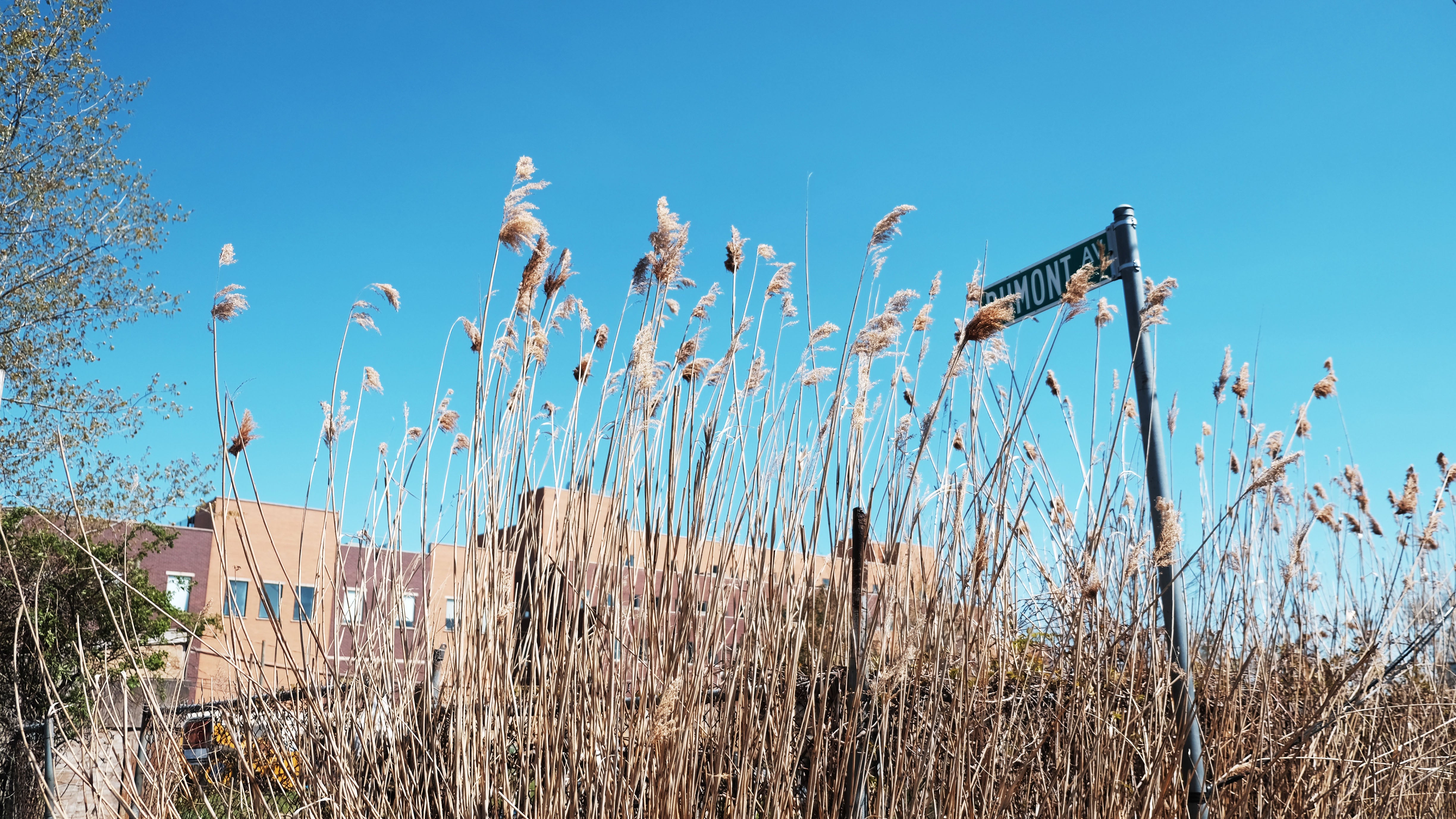 'The Hole': Photographs of Brooklyn's Shamefully Neglected Neighborhood
