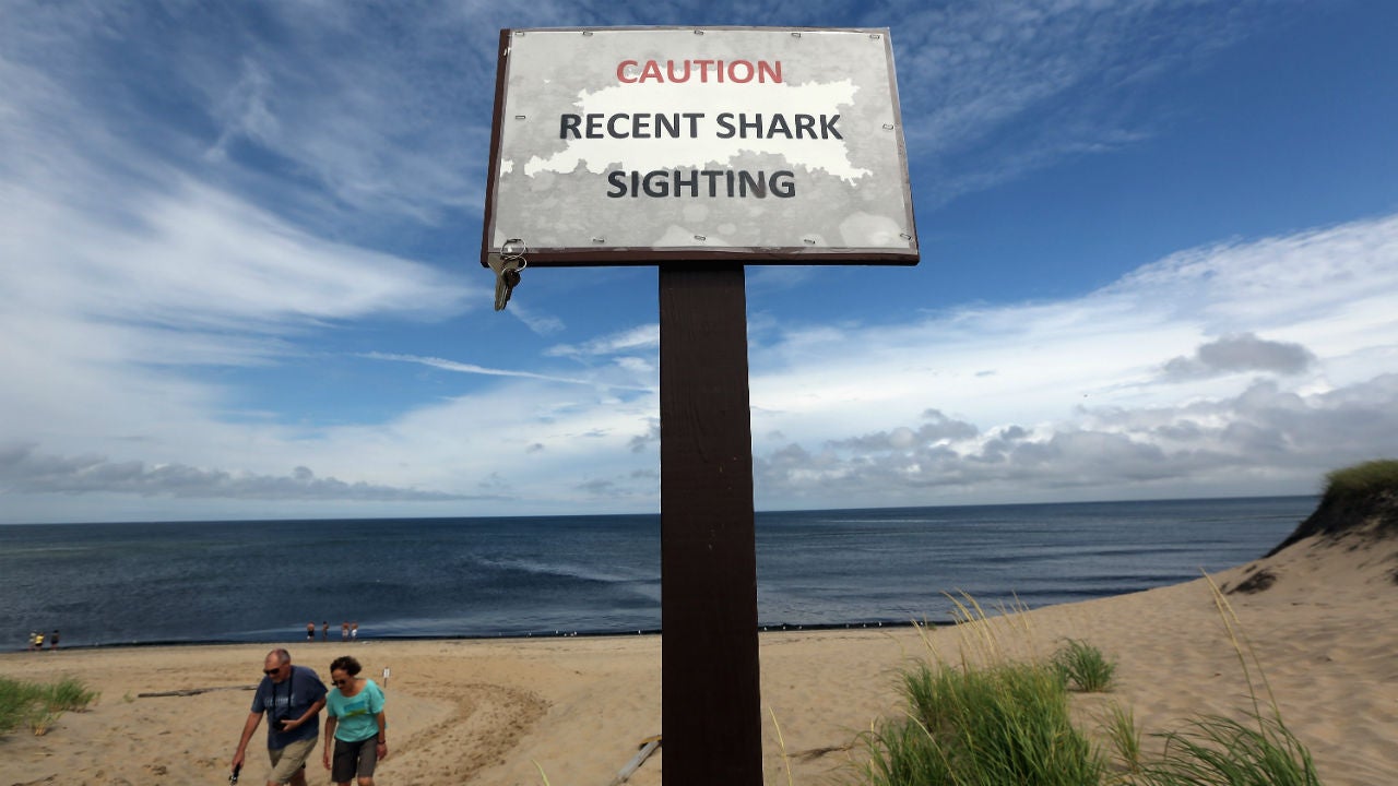 Fatal Shark Attacks Near Cape Cod May Come Sooner Rather Than Later