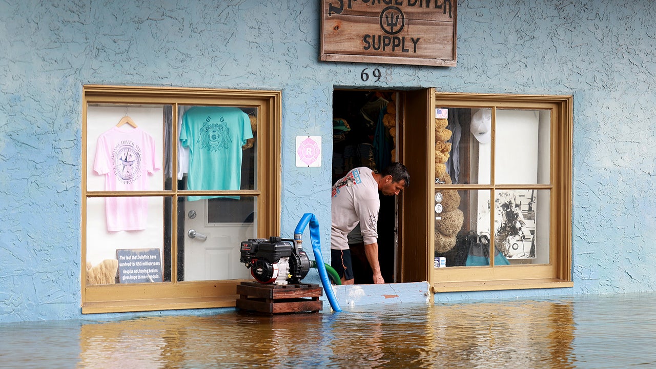 How To Help Hurricane Idalia Victims Precious World Need Attention On Precious