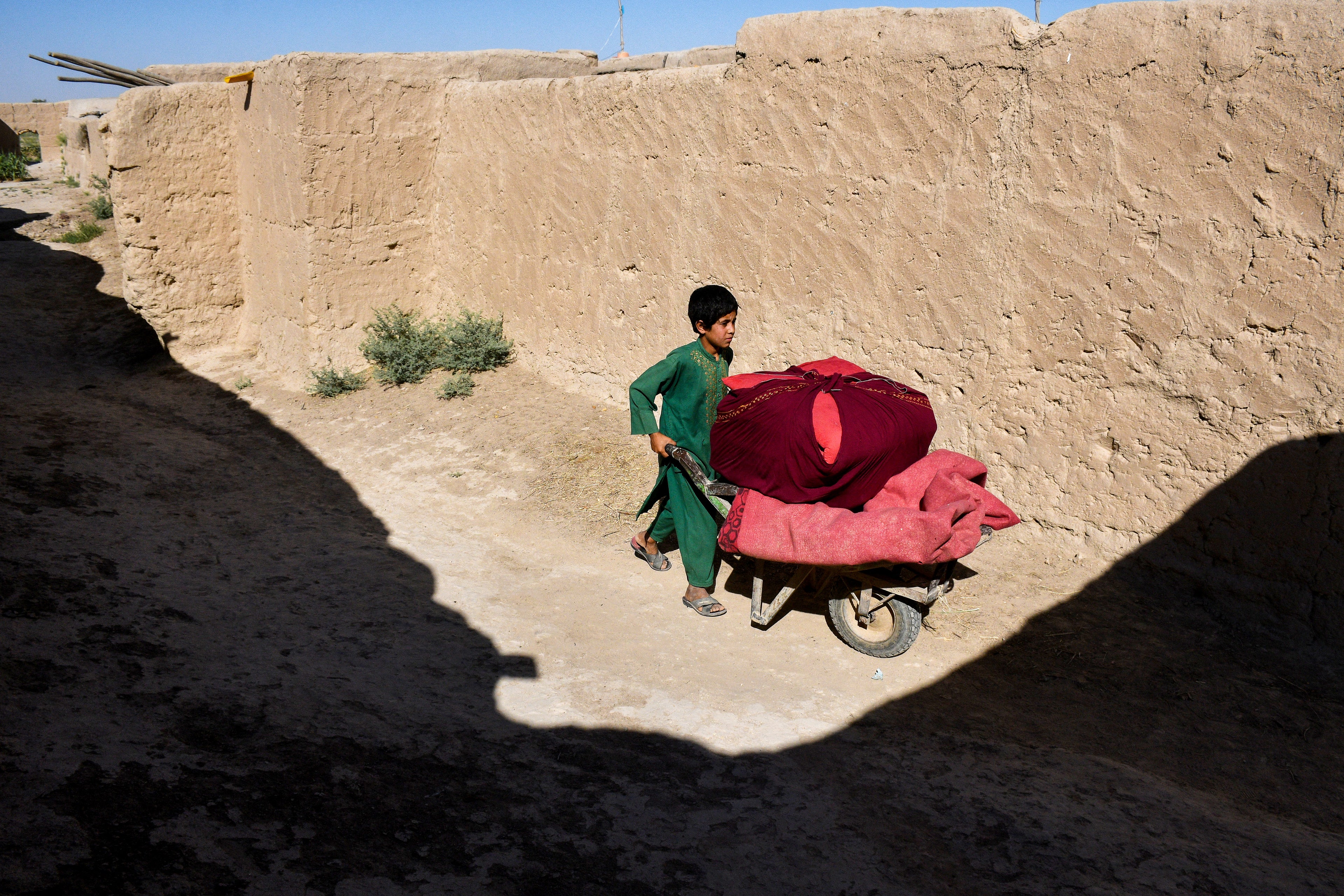gettyimages-2223886743.jpg