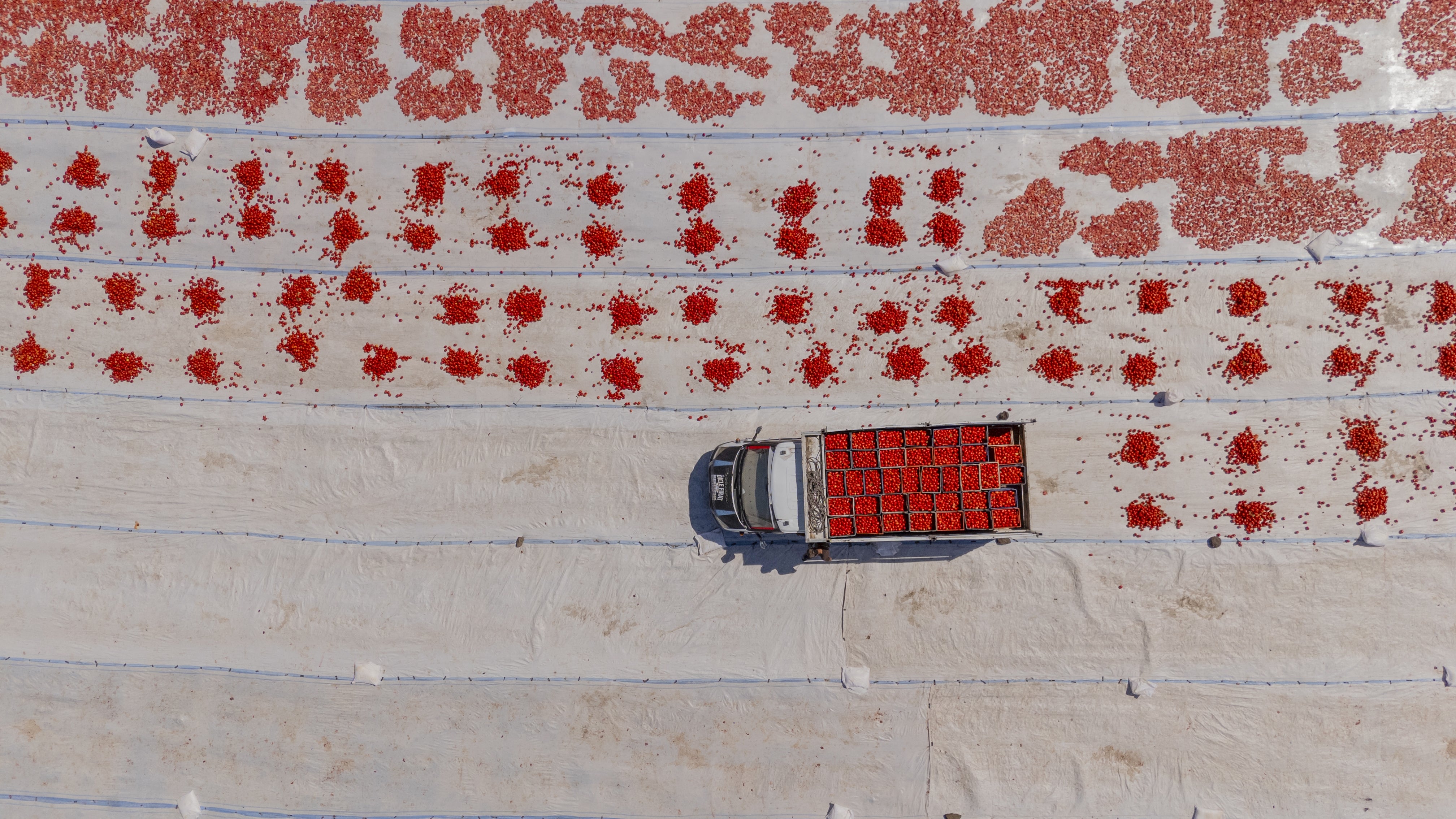 Weather Of The World: August 18-24