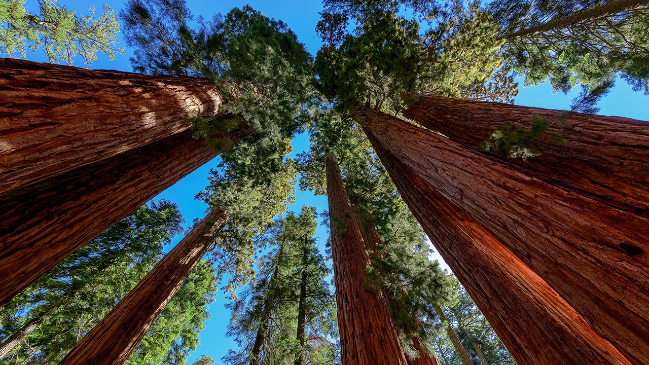 10 Places You Have to See in August (PHOTOS)