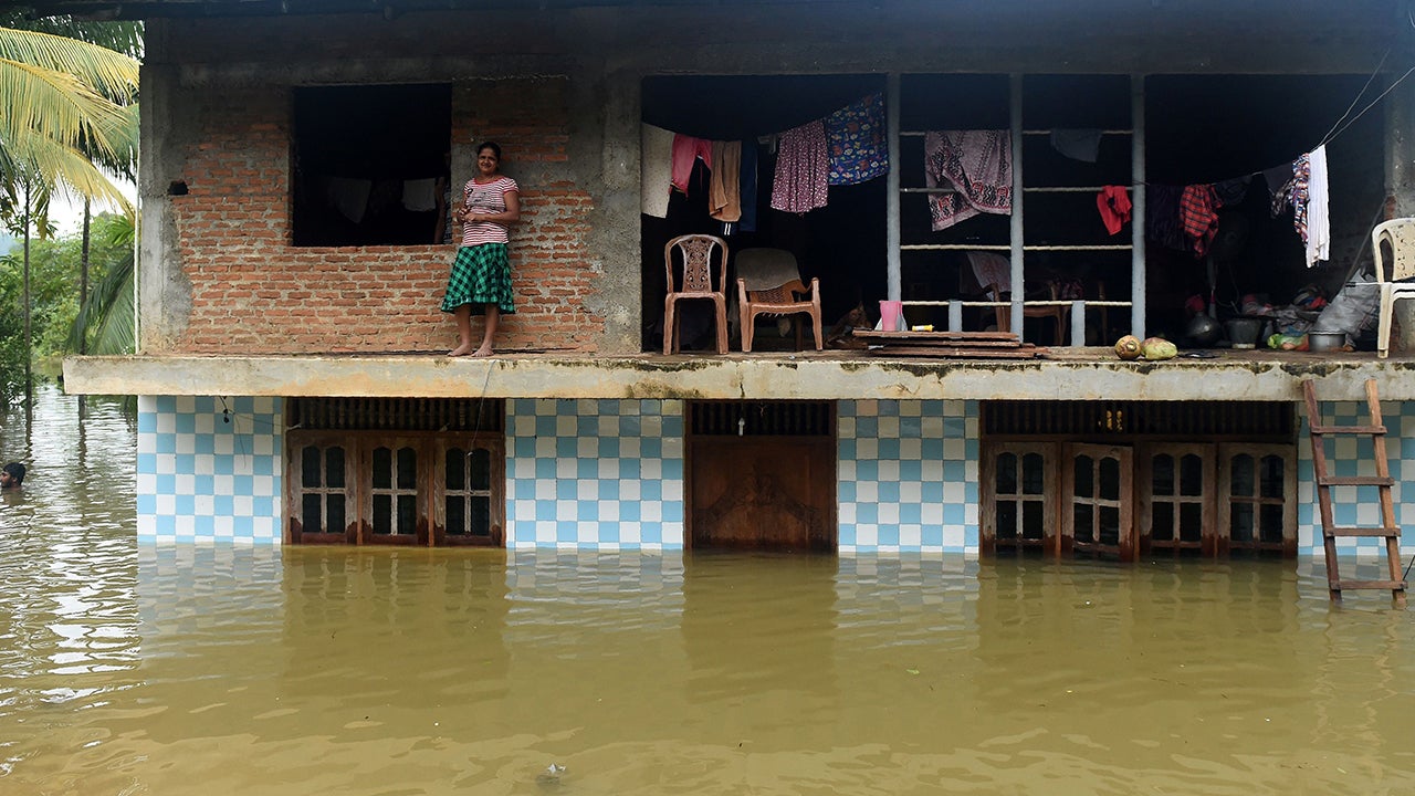 Rewilding Our Cities Could Reduce Disastrous Impacts Of Climate Change