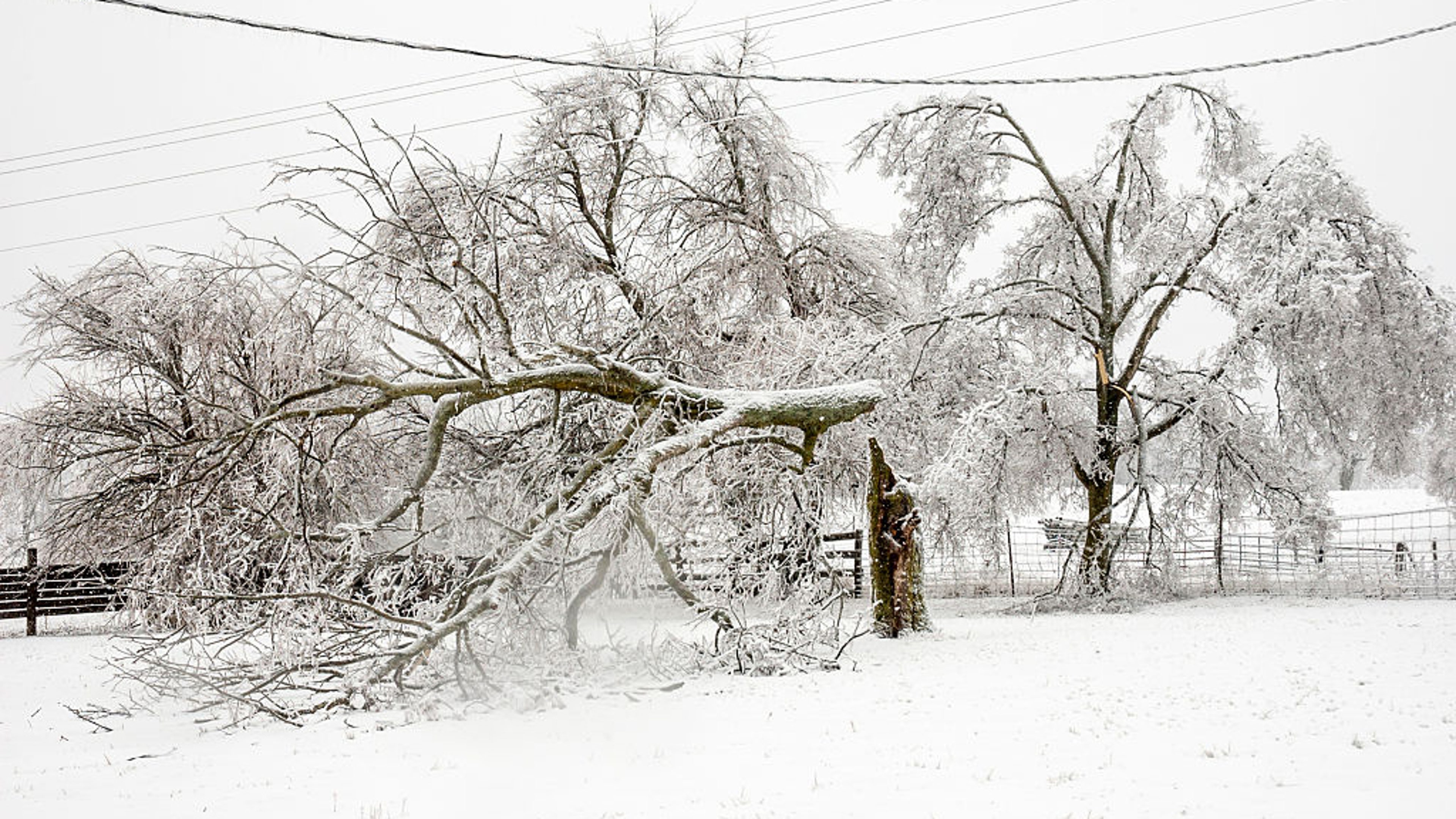 gettyimages-556632007.jpg
