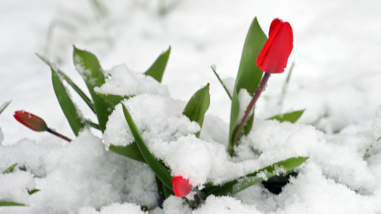 Spring Snowfall Complicates Commutes in Northeast (PHOTOS)