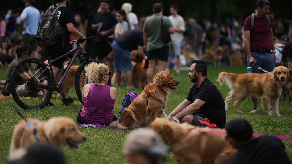 Record-Breaking Golden Retriever Gathering Lights Up Buenos Aires Summer