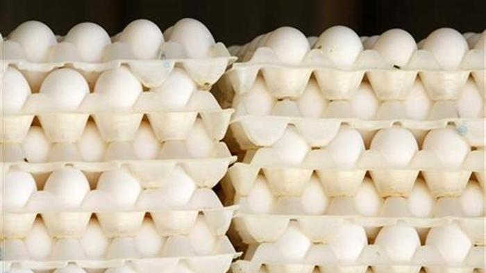 Gradual Exposure to Egg Cuts Allergy Risk