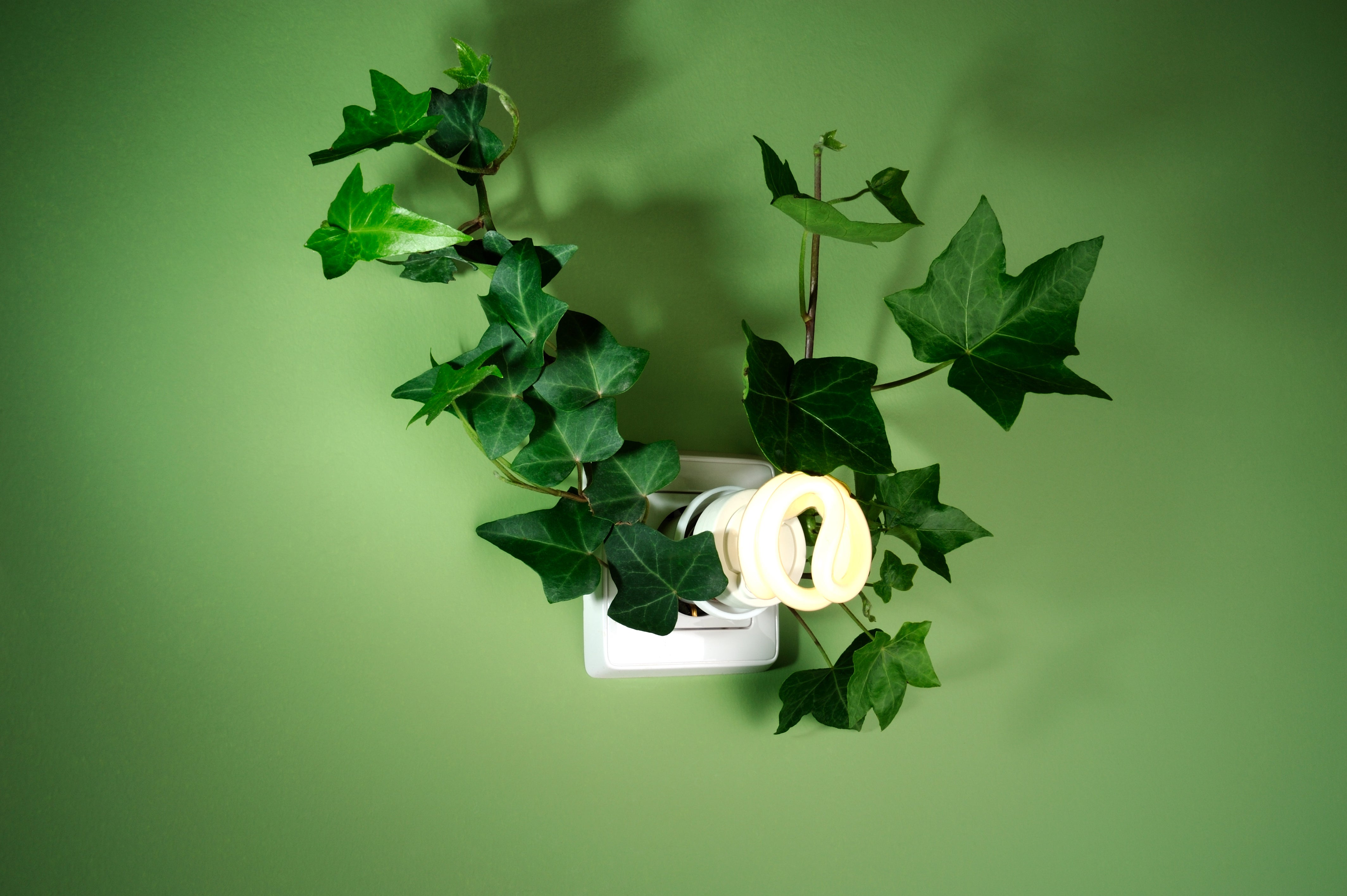 Reduce Lighting Costs