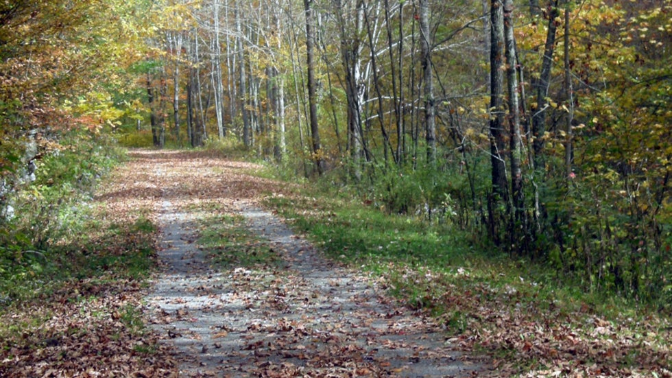 Greenbrier River Trail Great for bikers, Hikers 