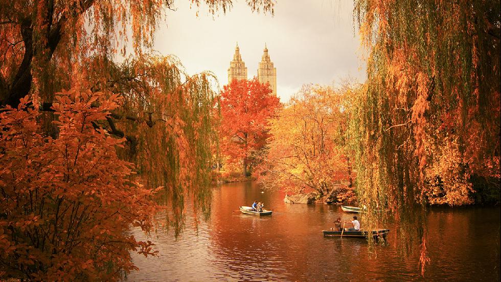 Stunning Images of the Changing Seasons in New York City (PHOTOS) 