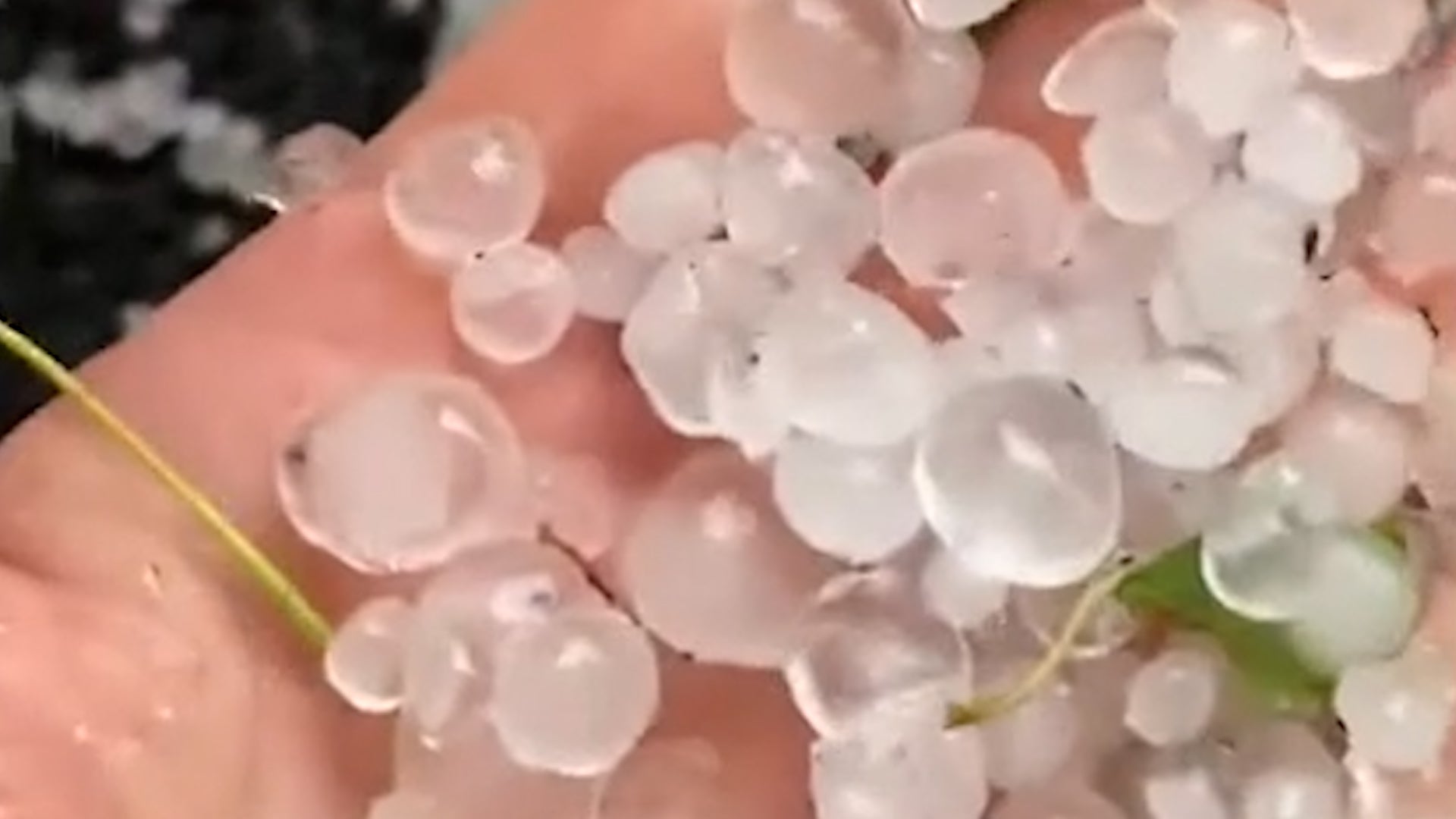 ALASKA GLACIERS SHOW DRAMATIC MELTING visual data 5