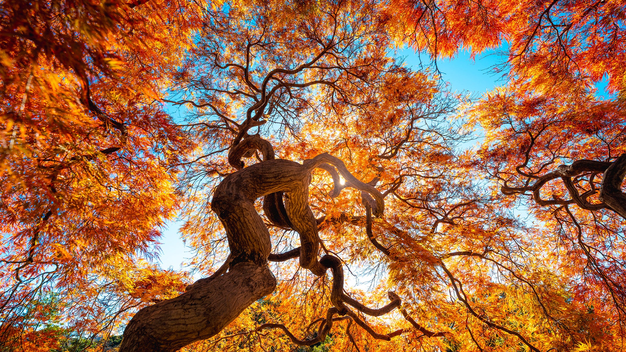 Weather Words: 'Harvest'