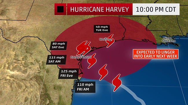 harvey-stall-path-2017.jpg