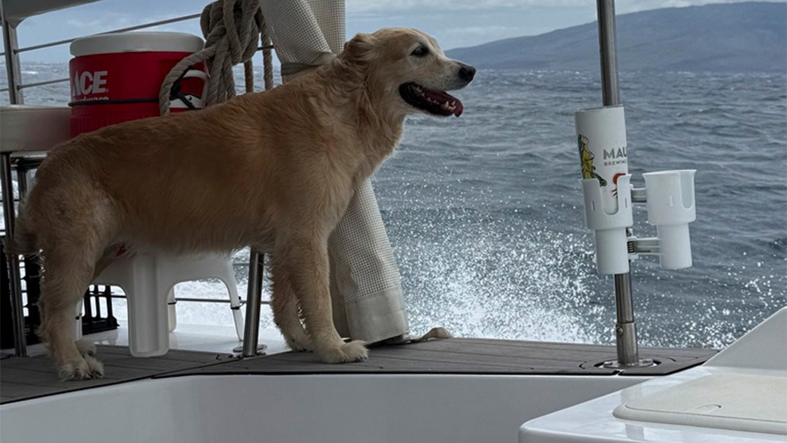 Lahaina Captain Offers Free Trips To Fire Survivors