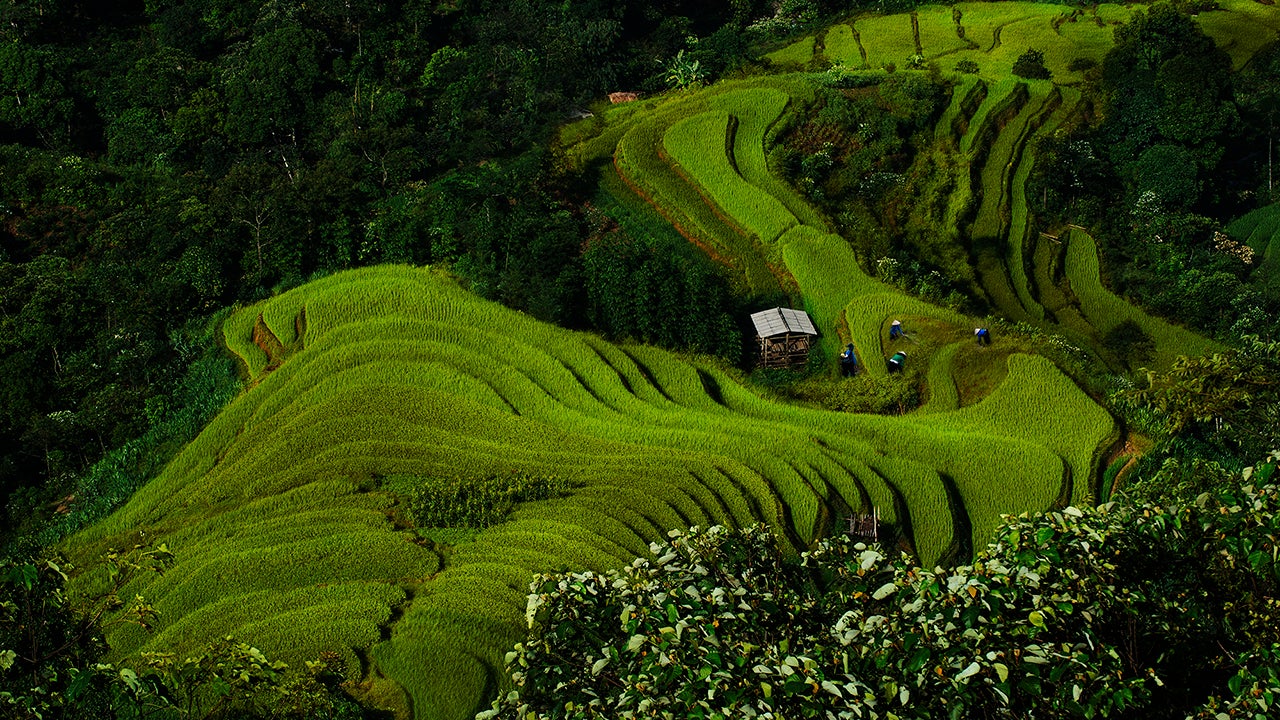 The Mesmerizing Beauty of Vietnam (PHOTOS)