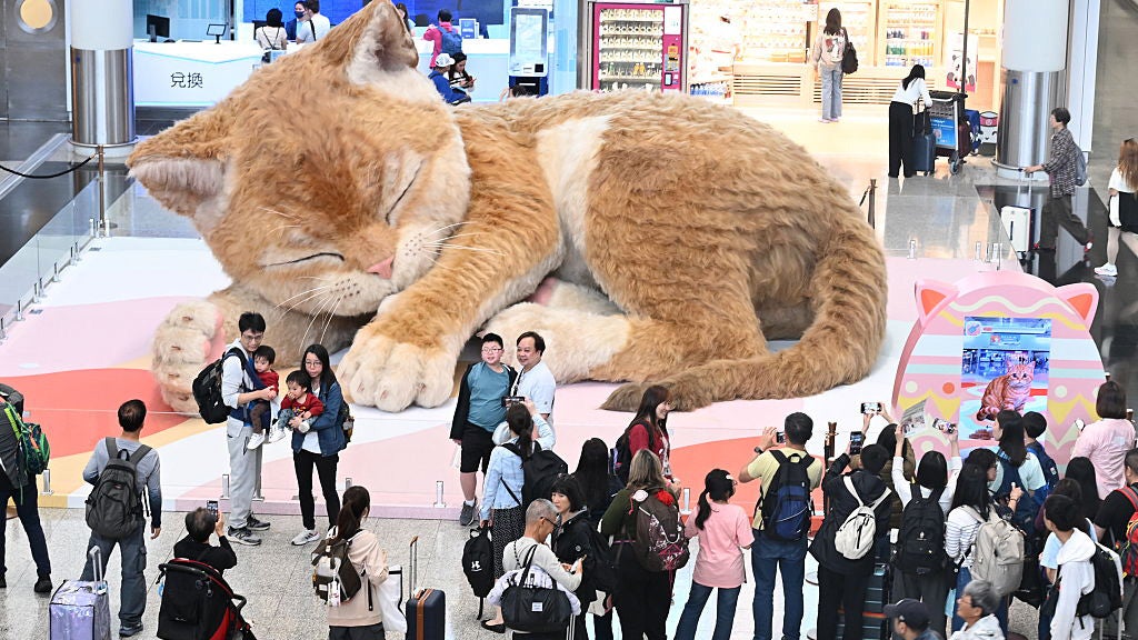 Giant Cat Takes Hong Kong Airport By Storm