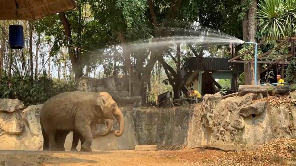 Weather Tomorrow For Philadelphia Pa