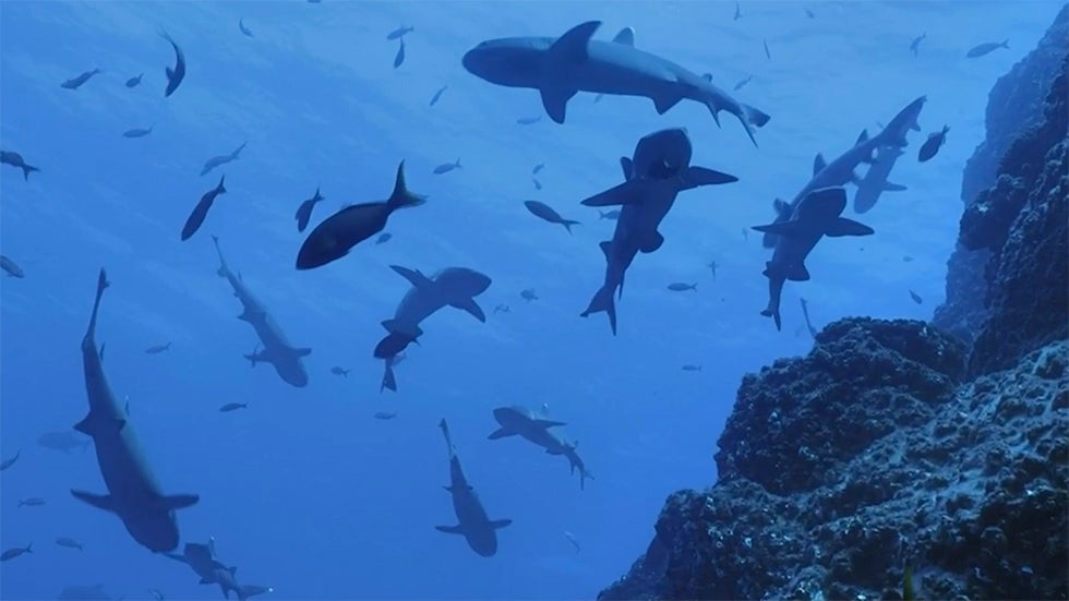 Mendocino Complex Fire Now Largest In California History Videos From