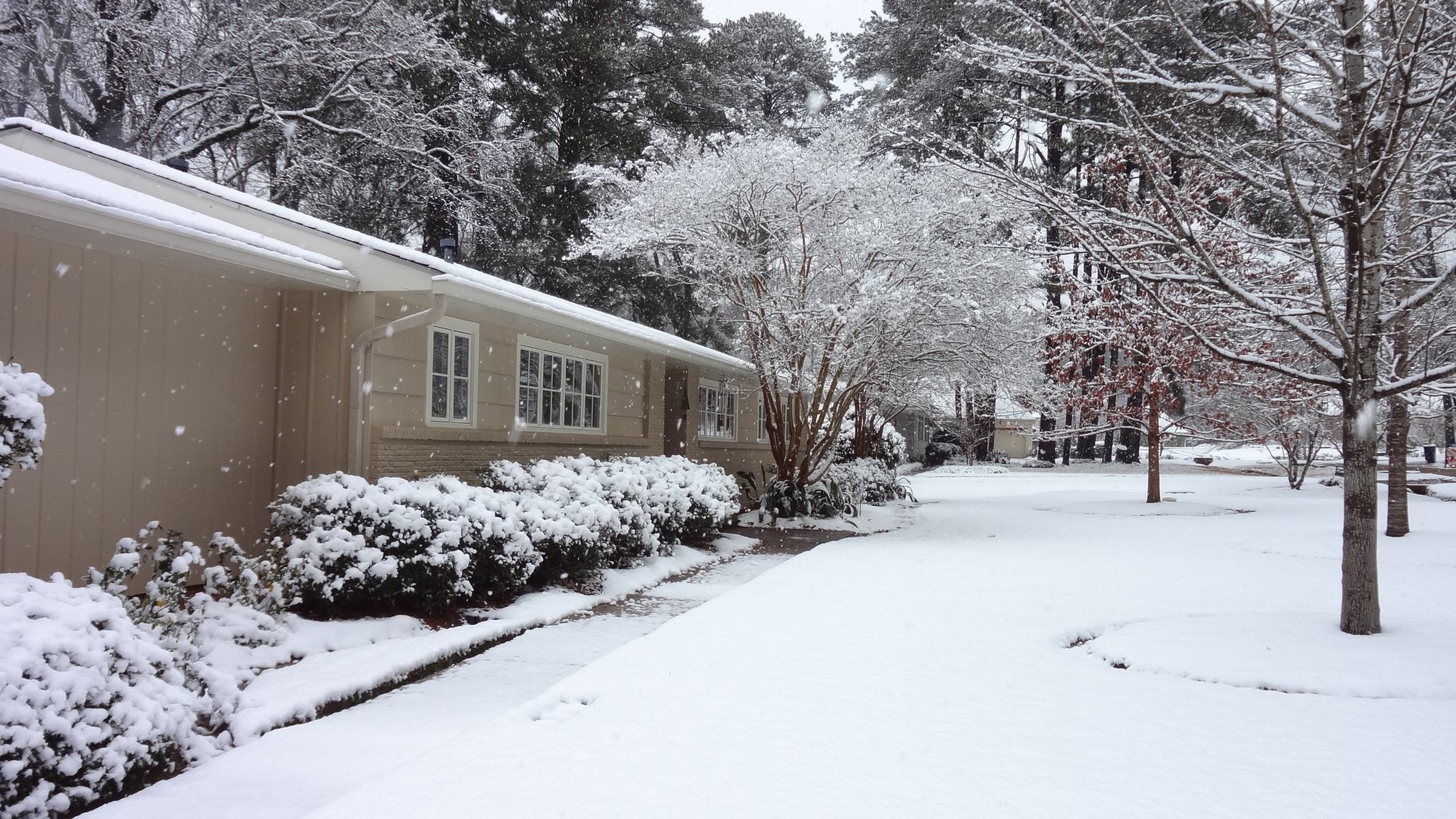 Winter Storm Iago, In Pictures