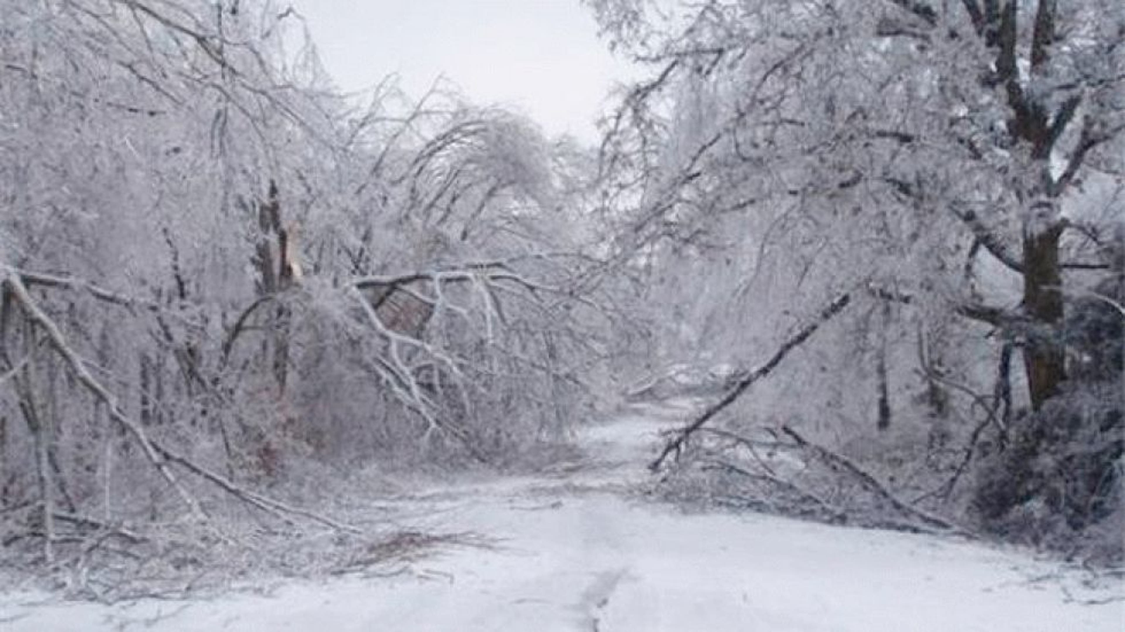 Springdale, Ark. in January 2009