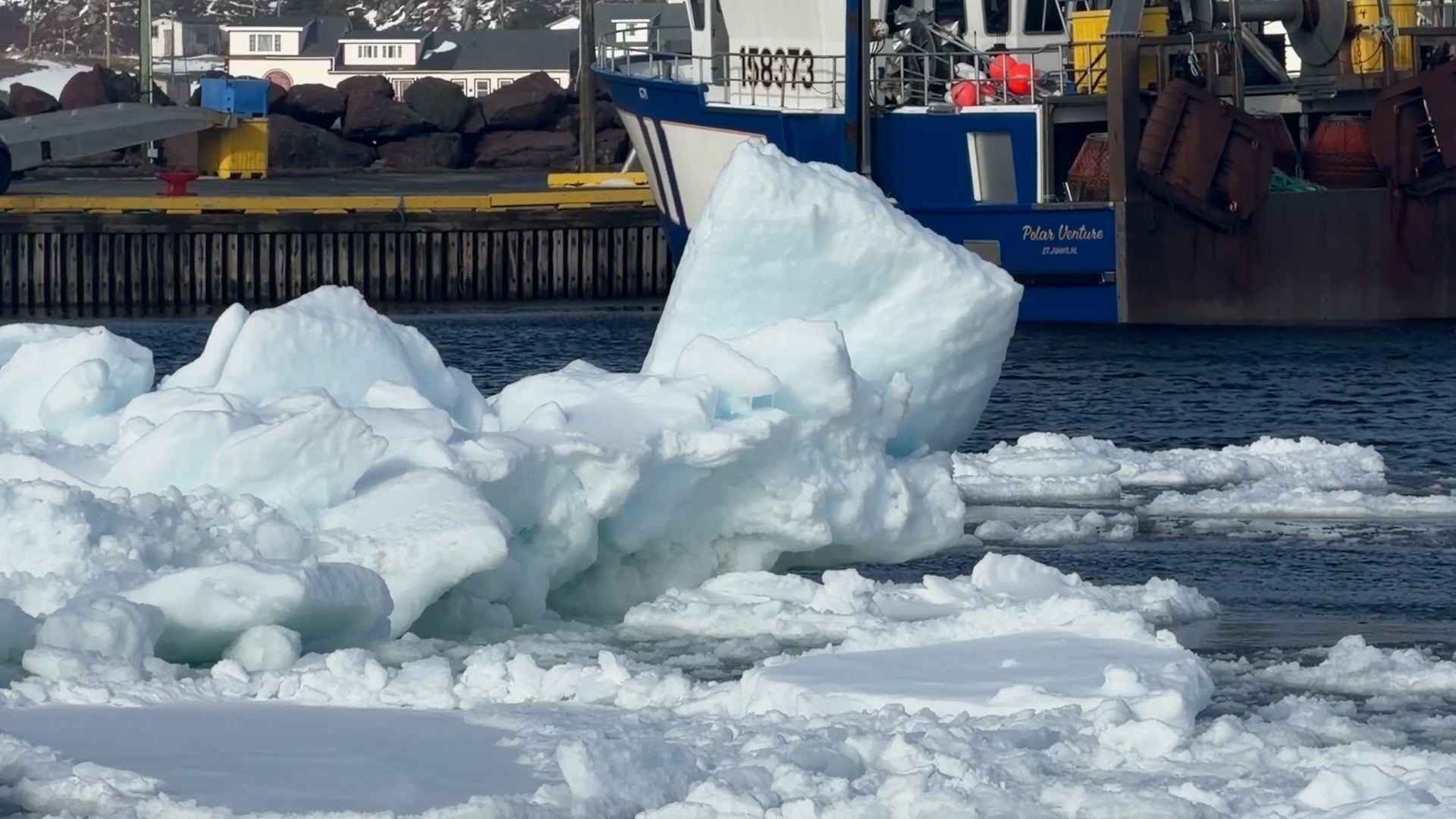 See It: Newfoundland's Spectacular Iceberg Season Begins