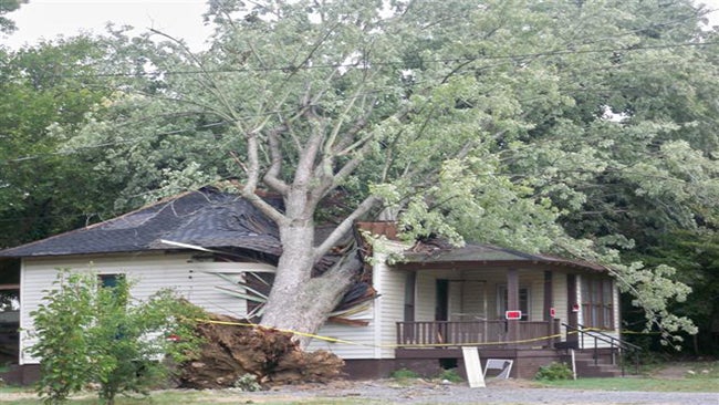 ike-tree-home-mayfieldKY-nws.jpg