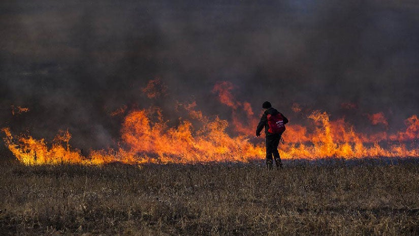Russian Wildfires Now as Big as Vermont and Delaware Combined, Greenpeace Says