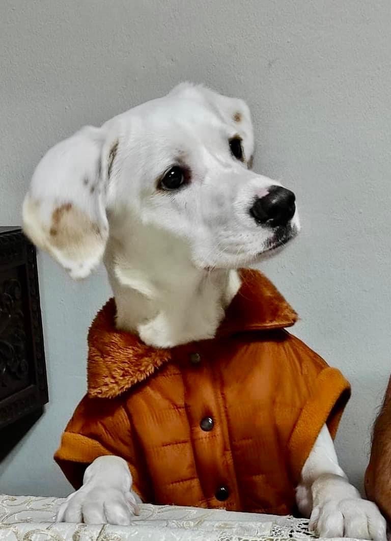 Weather Buddies: 'Nino'