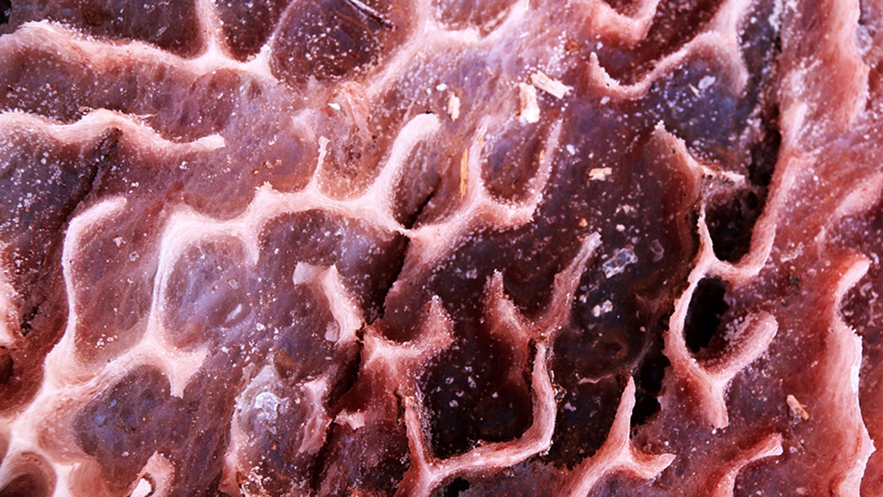 Photographing Salt's Many Natural Formations with Ehsan Doroudian