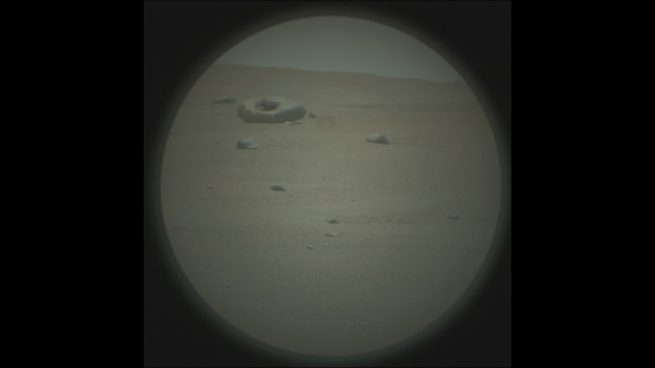 Ancient MegaFish Was a Giant Swimming Mouth With a Tiny Body Flipboard