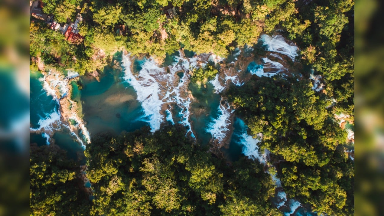 SciSimplified Amazon Approaching Tipping Point, Confirms Study! Will