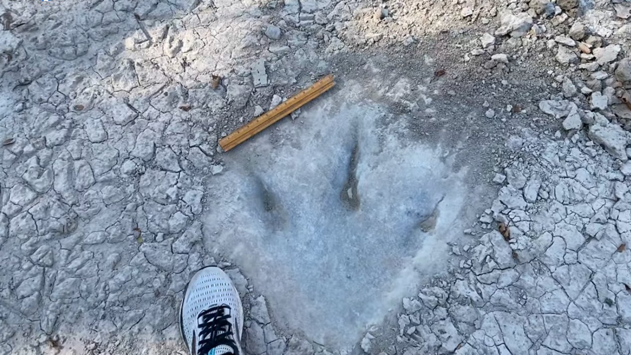 Drought in Texas Unveils Massive Footprints of Dinosaurs That Walked