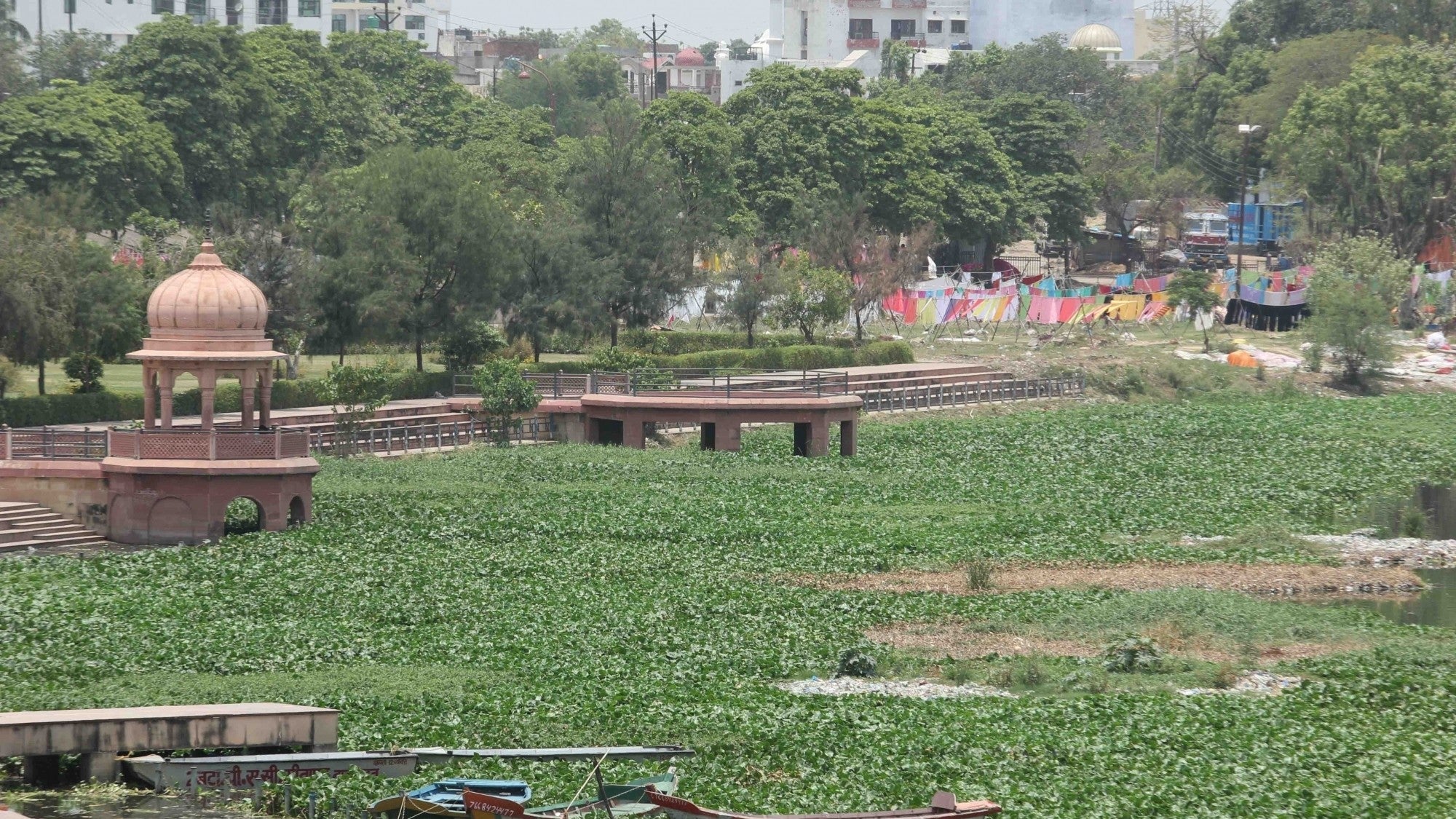 More Than 63,000 Trees to be Axed in Lucknow Even as Pollution Remains