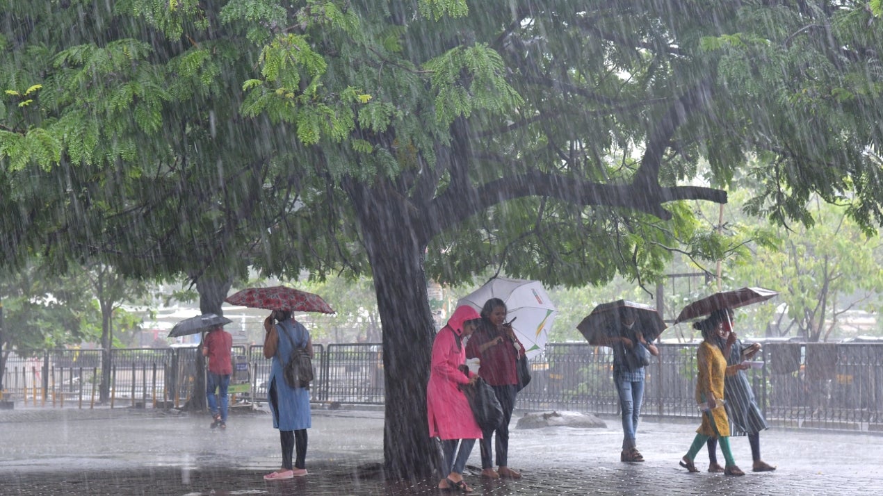 Odisha, Telangana, Coastal Andhra Pradesh In for Heavy Monsoon Rains