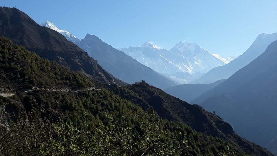 Global Warming Causes More Plants to Grow Around Mount Everest Study