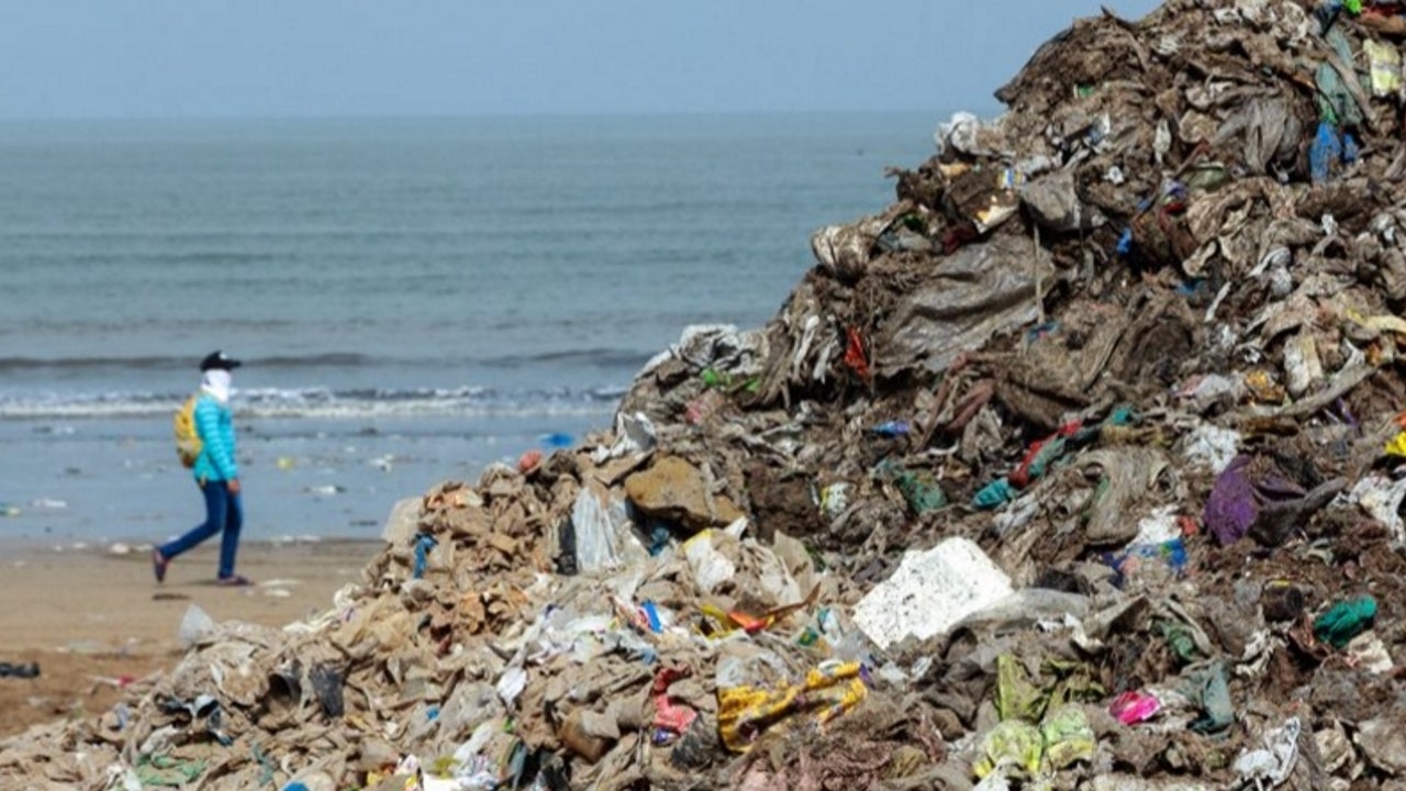 Tamil Nadu's Ranipet District Creates World Record Volunteers Collect