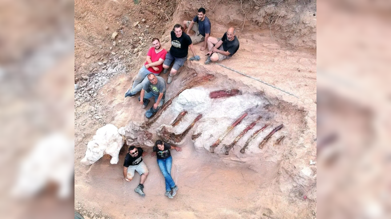 Portuguese Man Finds Skeleton in His Backyard; Analysis Reveals It