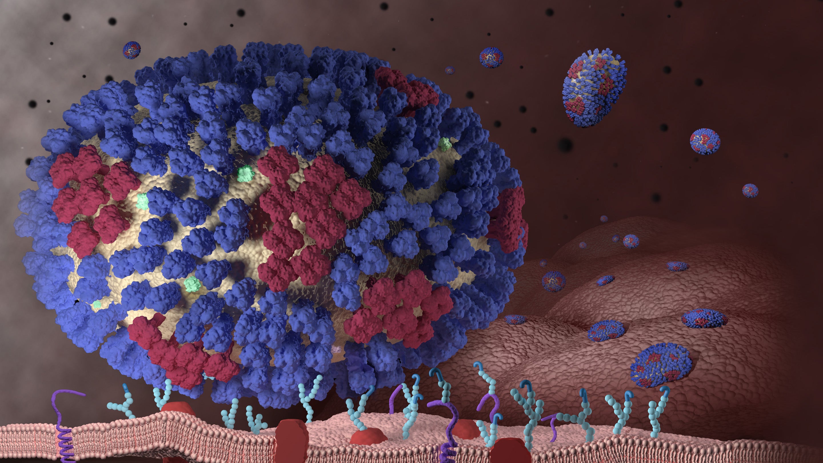 A New Strain of the Flu May Have Exacerbated Last Year's Flu Season, Researchers Say