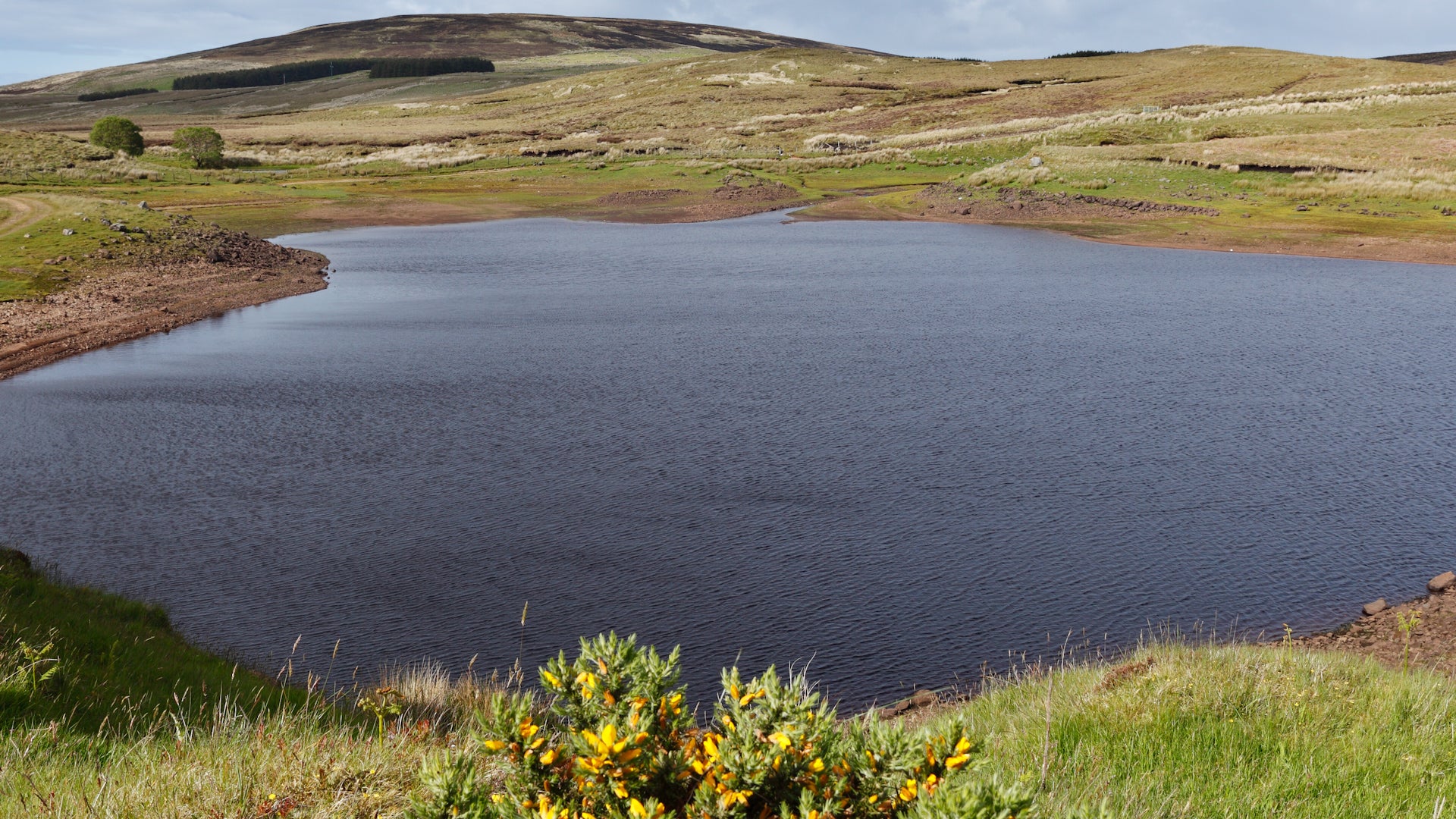 A Look At Northern Ireland's Mysterious Vanishing Lake