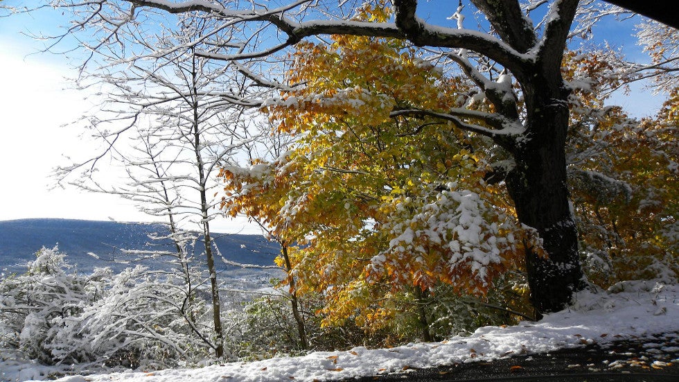 Just A Taste Of Winter