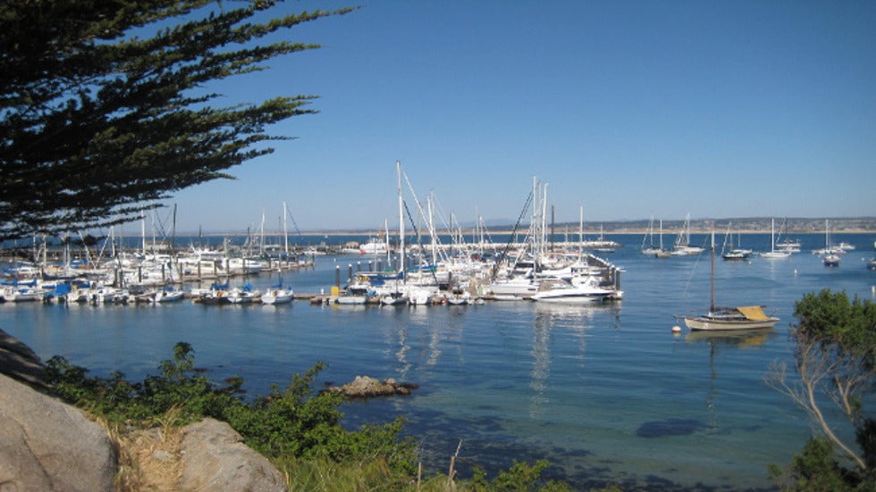 Virtual Voyage: On The Hook