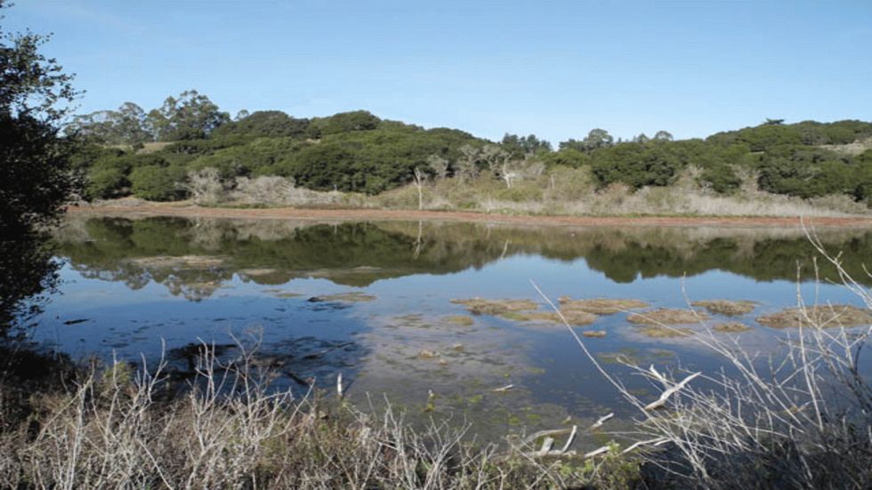 Terry Scroggins on Flipping and Pitching Matted Vegetation